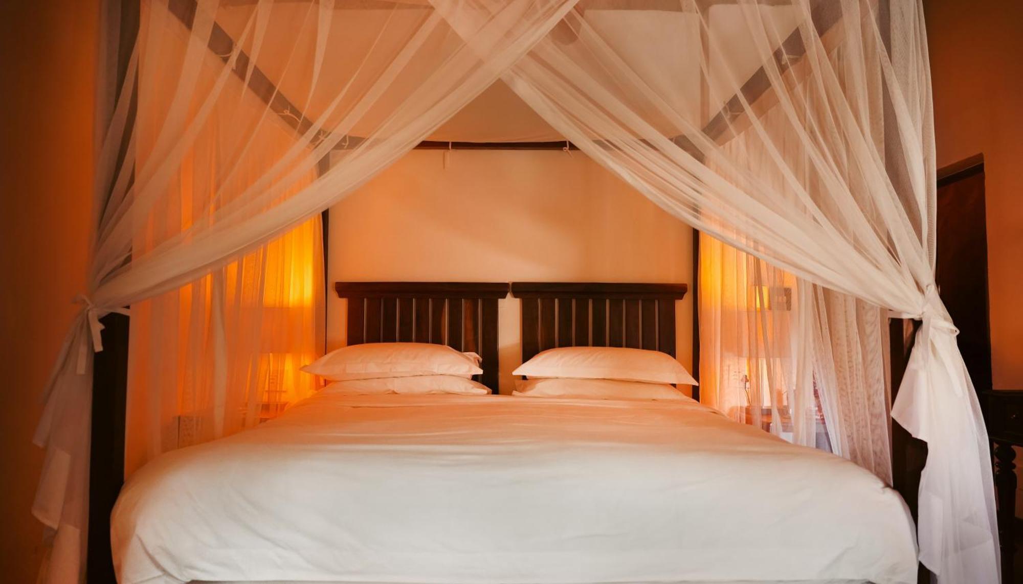 Shibula Safari Lodge Réserve animalière Welgevonden Extérieur photo